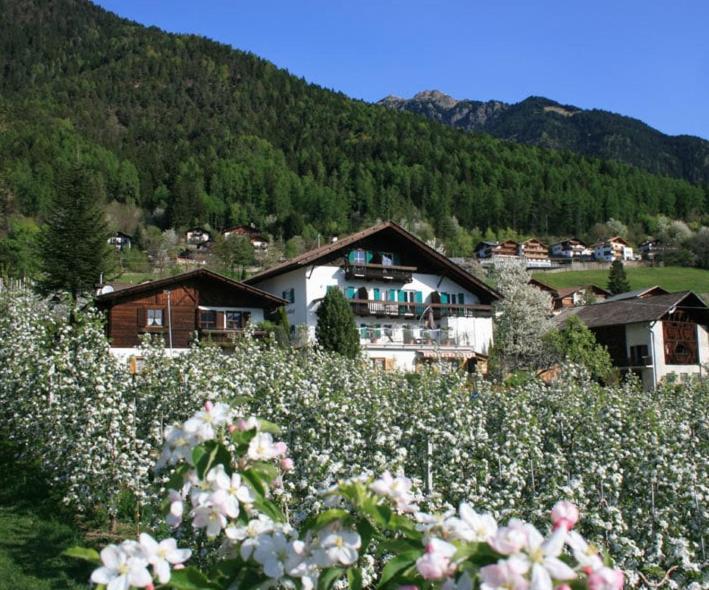 Residence Streitlhof Tirolo Kültér fotó